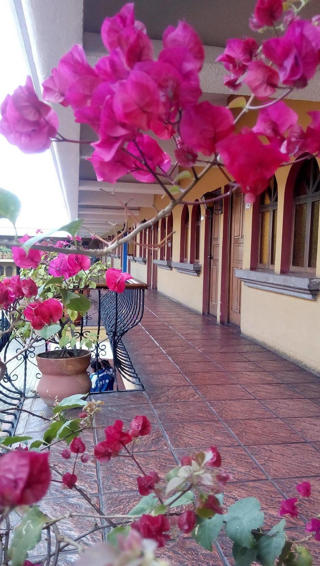 Espanola Ville de Guatemala